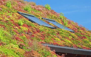 Cowbeech Hill living roof systems